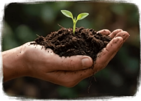 Natural Composting - Bio-Tape in Soil