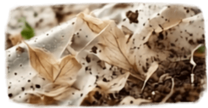Full Biodegradation - Complete Breakdown